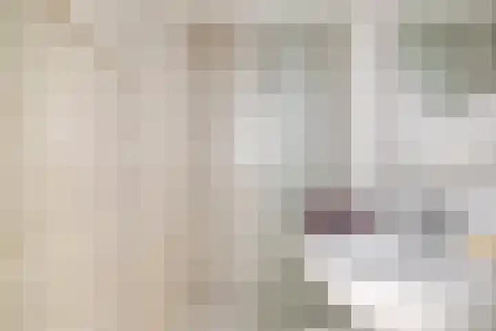 Smalriemseweg 20 Beusichem thumbnail 18