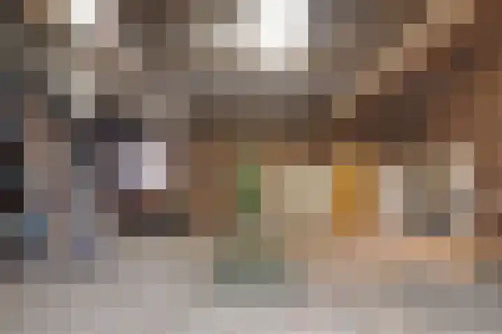 Smalriemseweg 20 Beusichem thumbnail 26