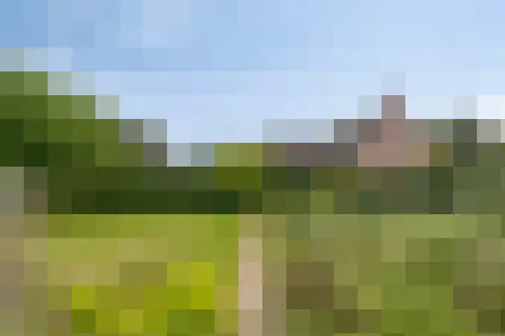 Smalriemseweg 20 Beusichem thumbnail 27