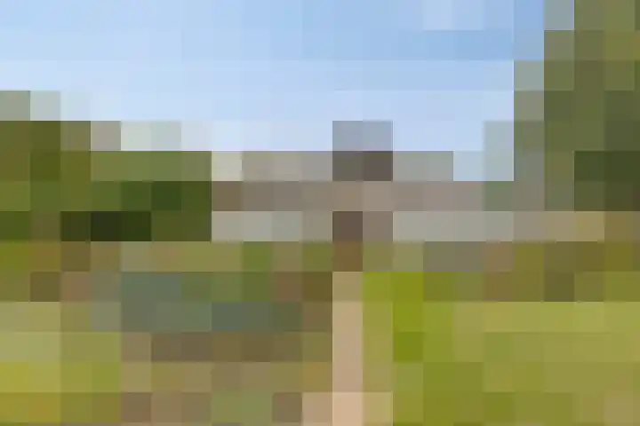 Smalriemseweg 20 Beusichem thumbnail 28