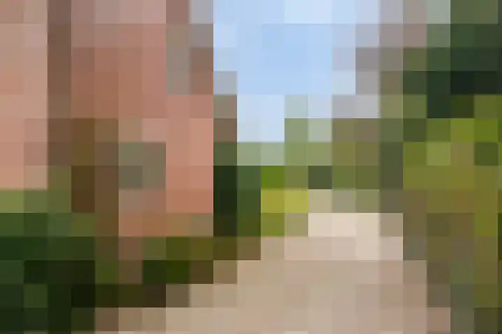 Smalriemseweg 20 Beusichem thumbnail 29