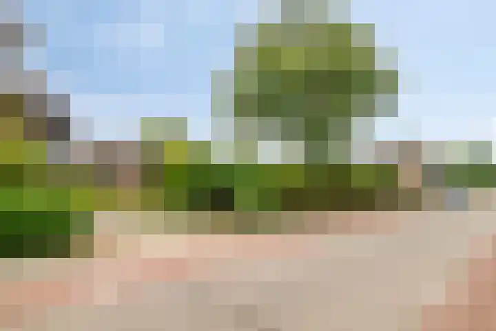 Smalriemseweg 20 Beusichem thumbnail 33