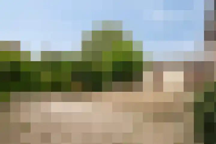 Smalriemseweg 20 Beusichem thumbnail 4