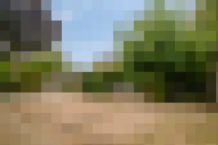 Smalriemseweg 20 Beusichem thumbnail 5