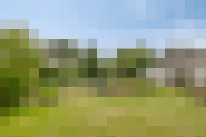 Smalriemseweg 20 Beusichem thumbnail 6