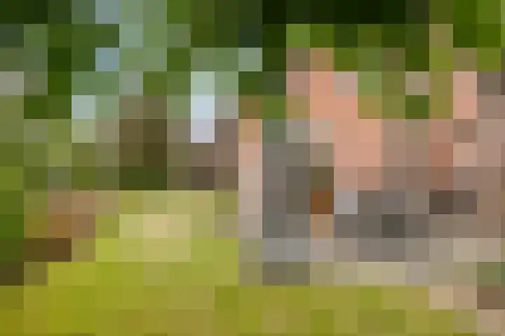 Smalriemseweg 20 Beusichem thumbnail 7