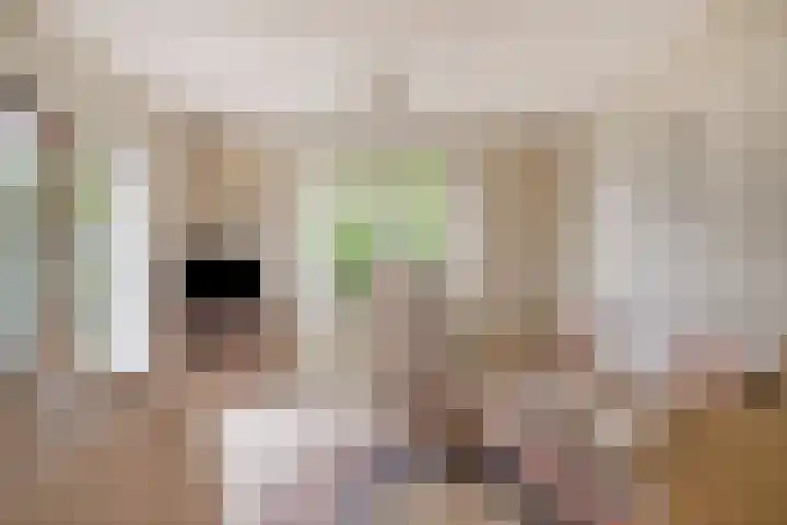 Smalriemseweg 20 Beusichem thumbnail 8