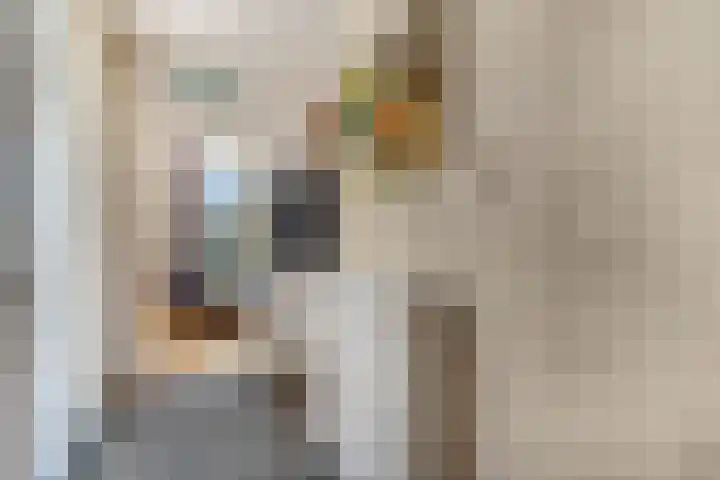 Smalriemseweg 30 Beusichem thumbnail 18