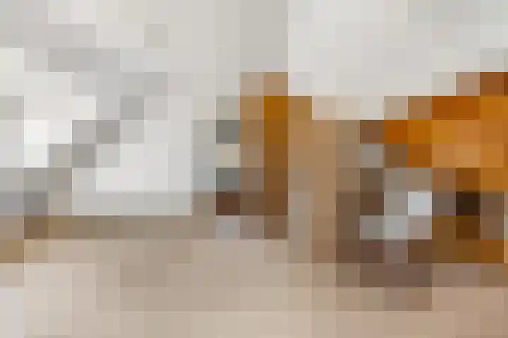 Smalriemseweg 30 Beusichem thumbnail 36