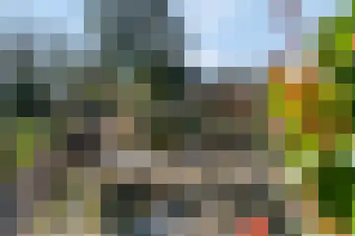 Smalriemseweg 30 Beusichem thumbnail 49