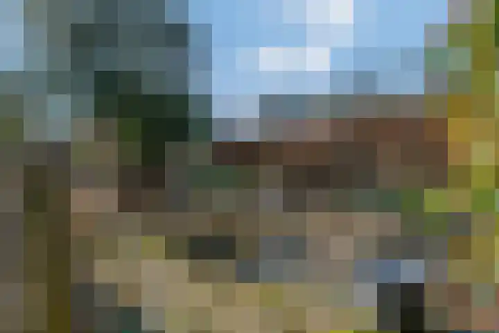 Smalriemseweg 30 Beusichem thumbnail 5