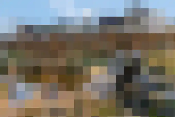 Smalriemseweg 30 Beusichem thumbnail 50