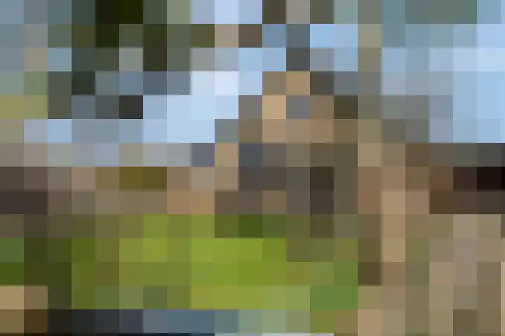 Smalriemseweg 30 Beusichem thumbnail 51