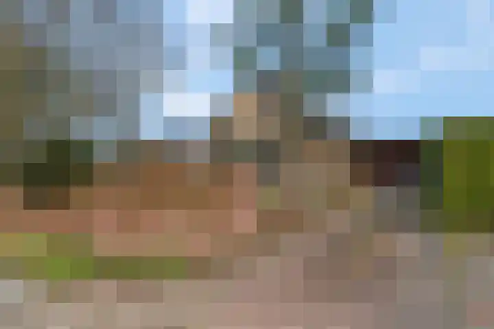 Smalriemseweg 30 Beusichem thumbnail 52
