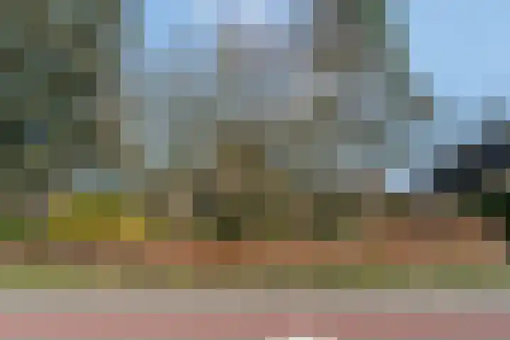 Smalriemseweg 30 Beusichem thumbnail 54