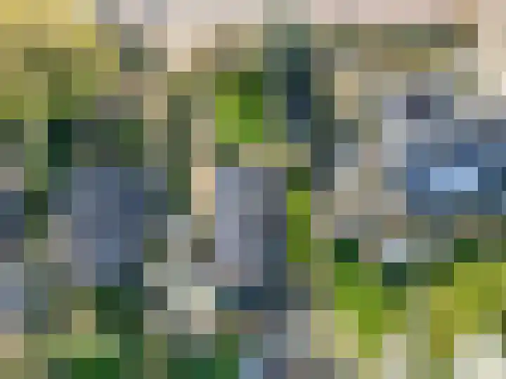 Smalriemseweg 30 Beusichem thumbnail 57