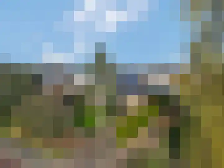 Smalriemseweg 30 Beusichem thumbnail 58