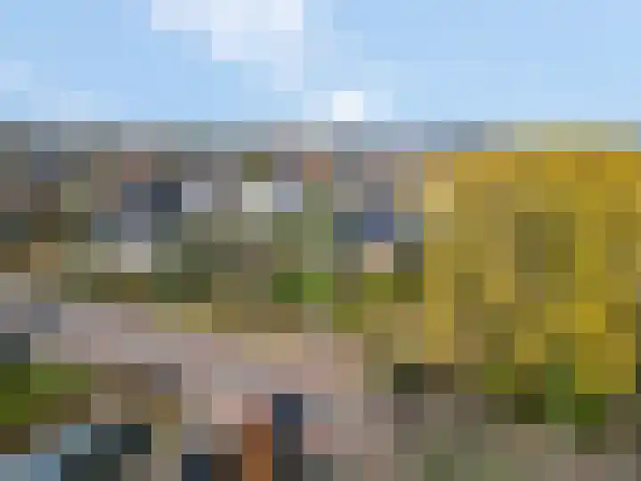 Smalriemseweg 30 Beusichem thumbnail 59