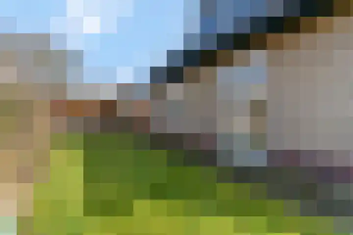 Smalriemseweg 30 Beusichem thumbnail 6