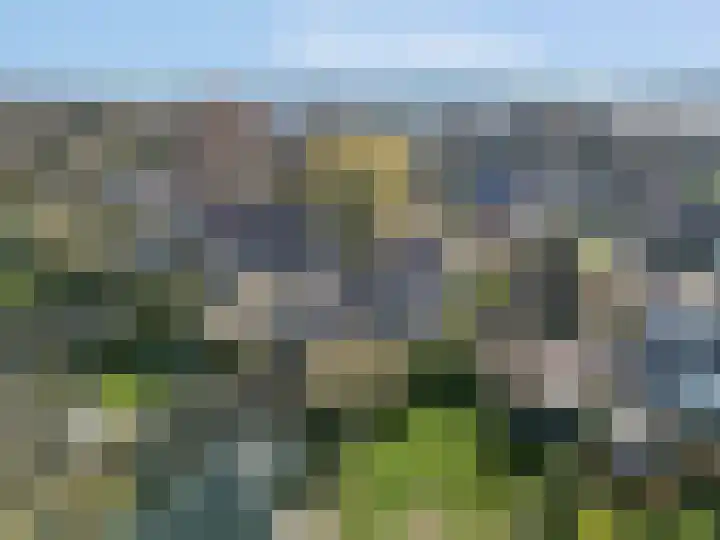 Smalriemseweg 30 Beusichem thumbnail 60