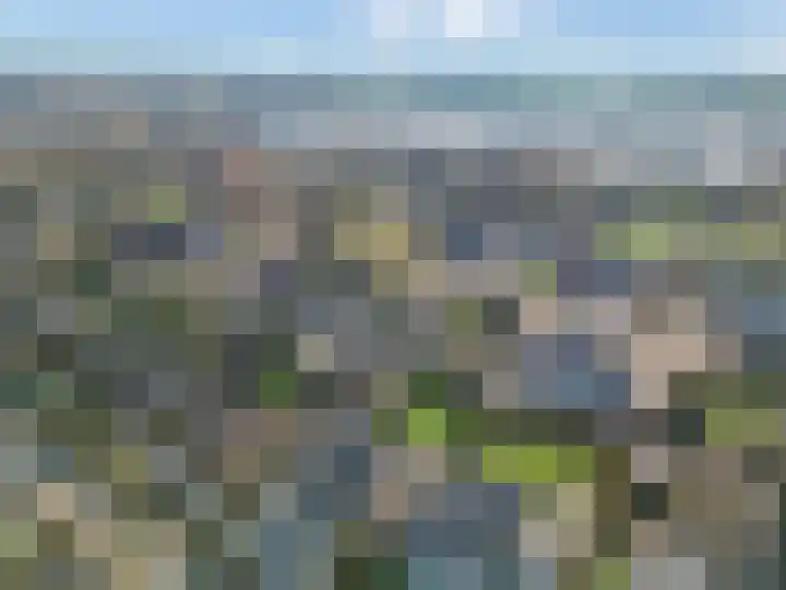 Smalriemseweg 30 Beusichem thumbnail 61