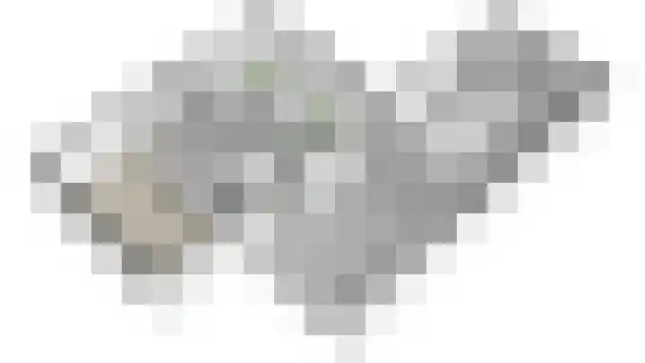 Smalriemseweg 30 Beusichem thumbnail 63