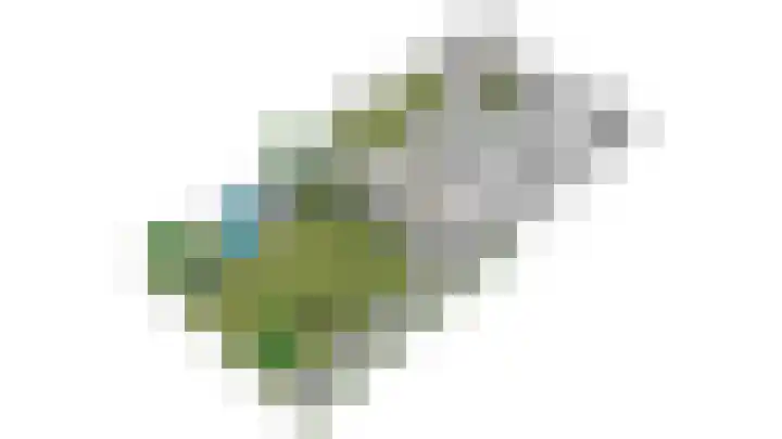 Smalriemseweg 30 Beusichem thumbnail 69