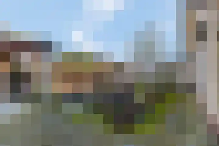 Smalriemseweg 30 Beusichem thumbnail 7