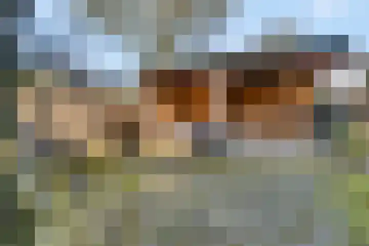 Smalriemseweg 30 Beusichem thumbnail 8