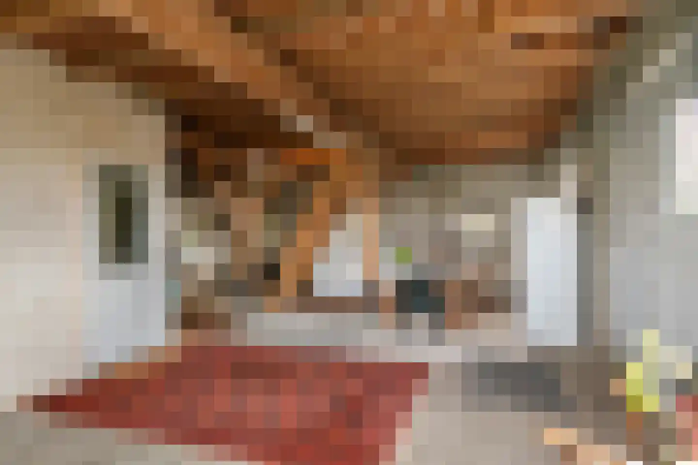 Smalriemseweg 33 Beusichem thumbnail 10