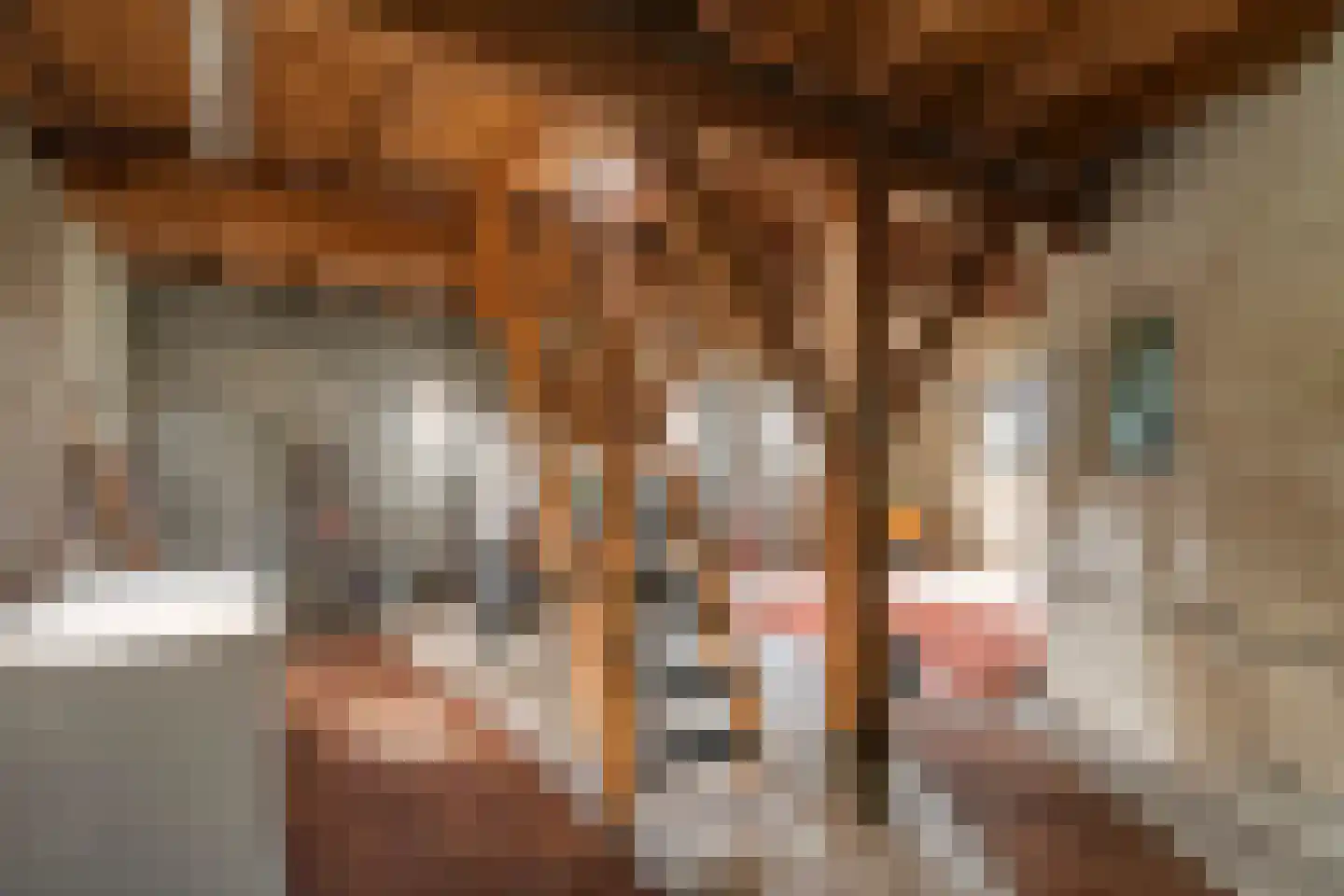 Smalriemseweg 33 Beusichem thumbnail 11