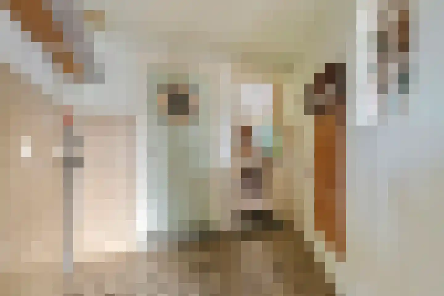 Smalriemseweg 33 Beusichem thumbnail 13