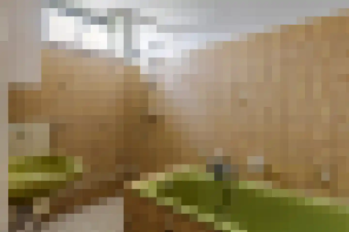 Smalriemseweg 33 Beusichem thumbnail 20