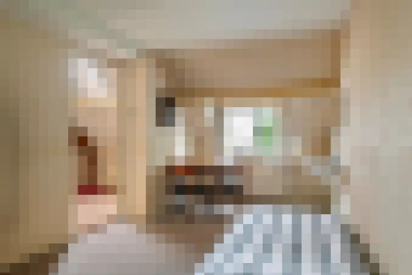 Smalriemseweg 33 Beusichem thumbnail 21