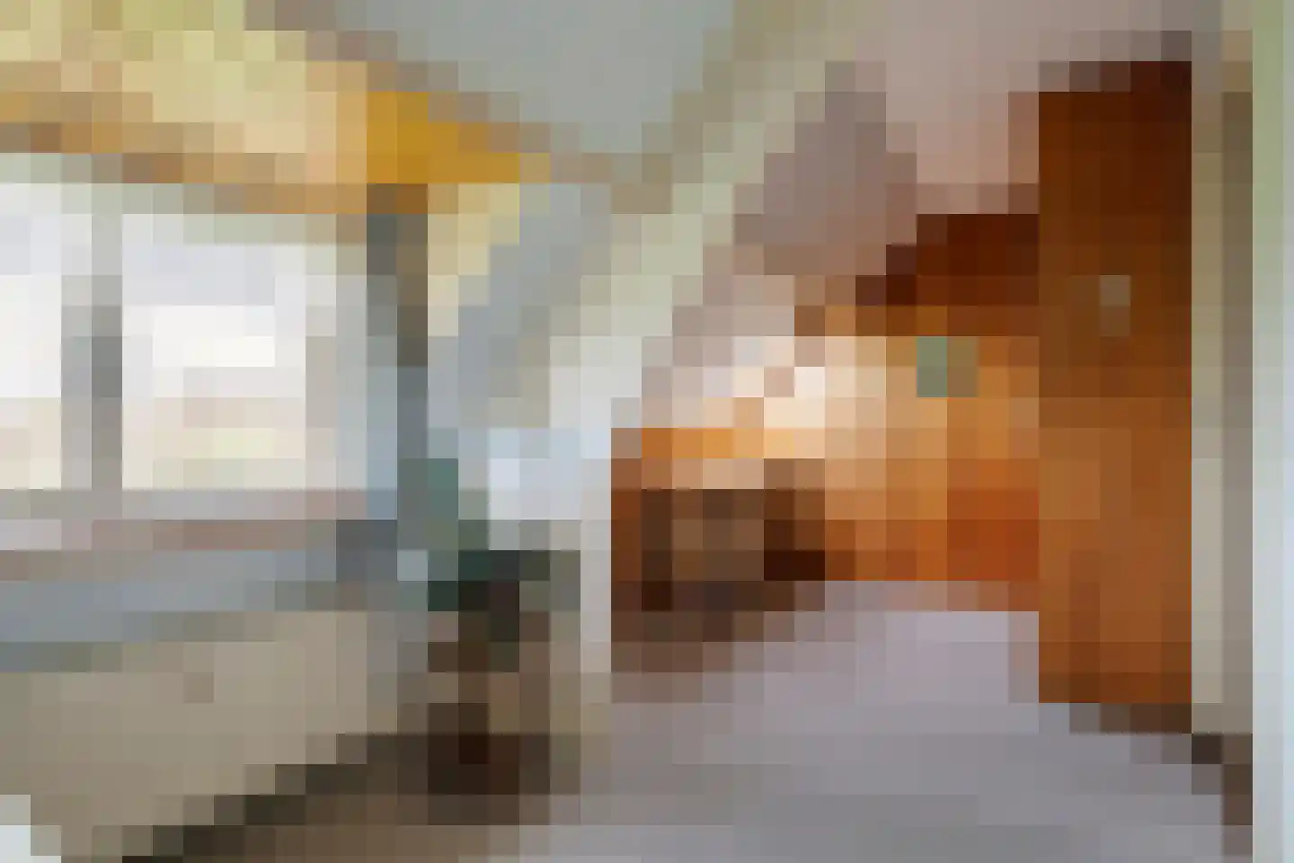 Smalriemseweg 33 Beusichem thumbnail 22