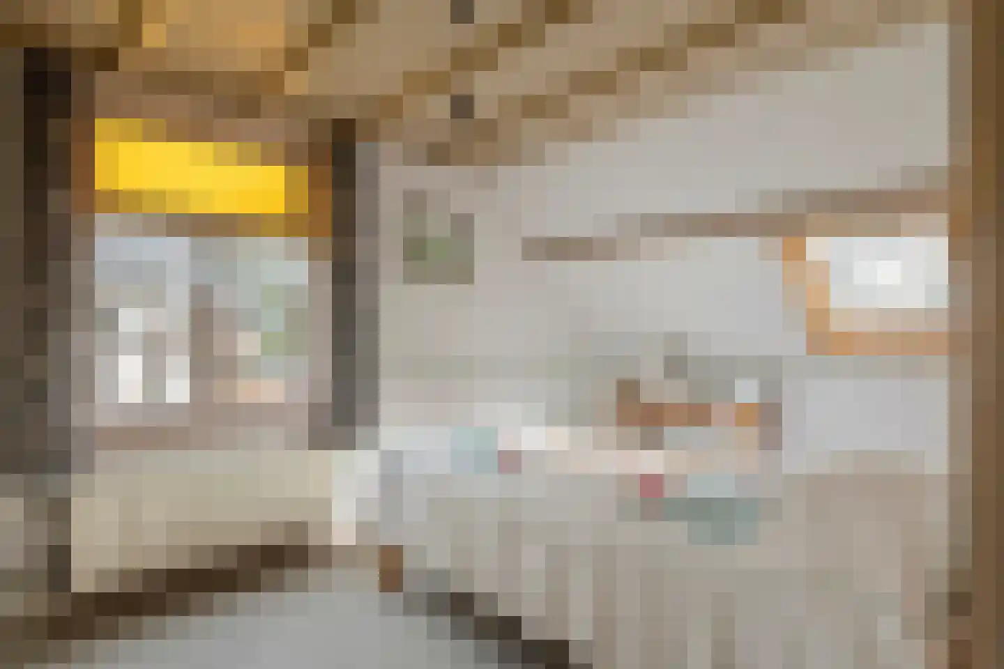 Smalriemseweg 33 Beusichem thumbnail 24