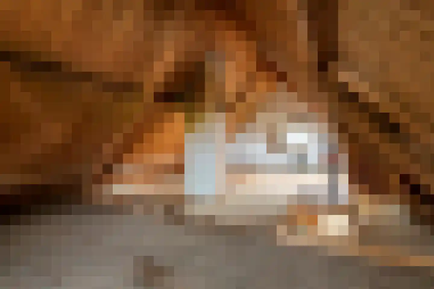 Smalriemseweg 33 Beusichem thumbnail 27