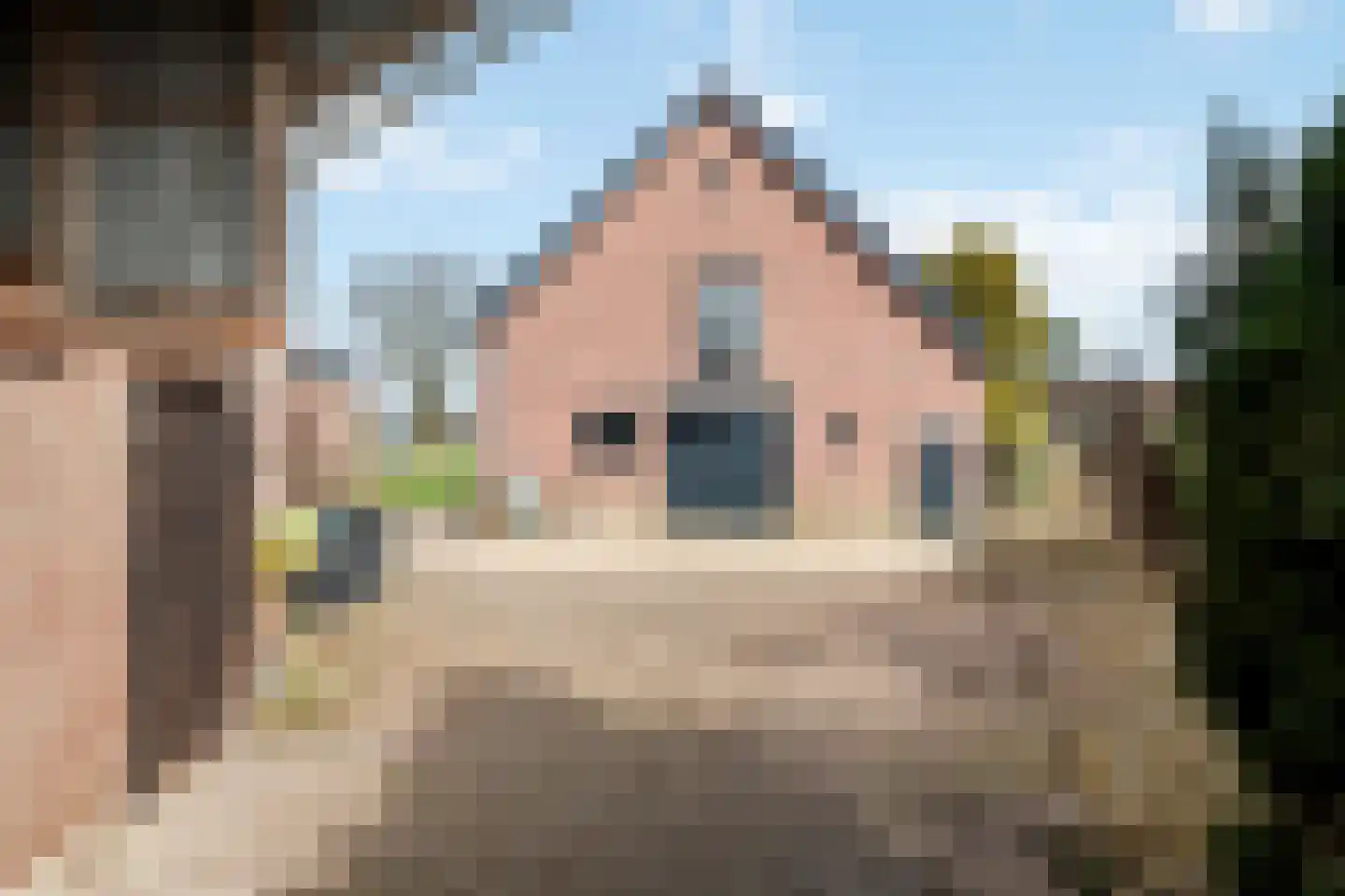 Smalriemseweg 33 Beusichem thumbnail 30