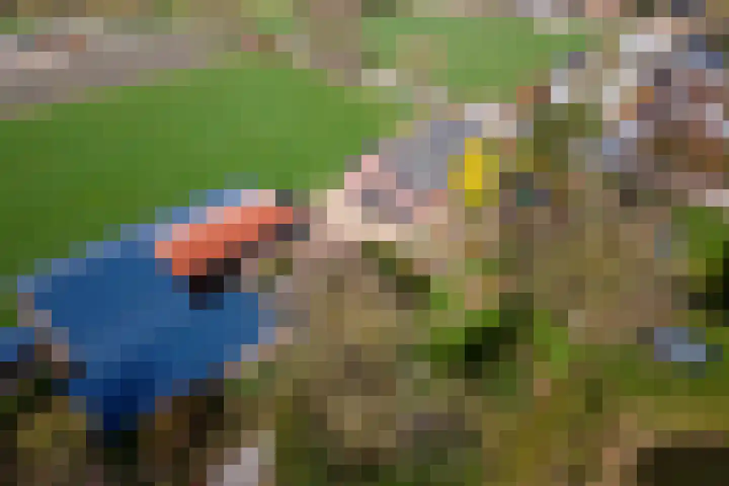 Smalriemseweg 33 Beusichem thumbnail 31