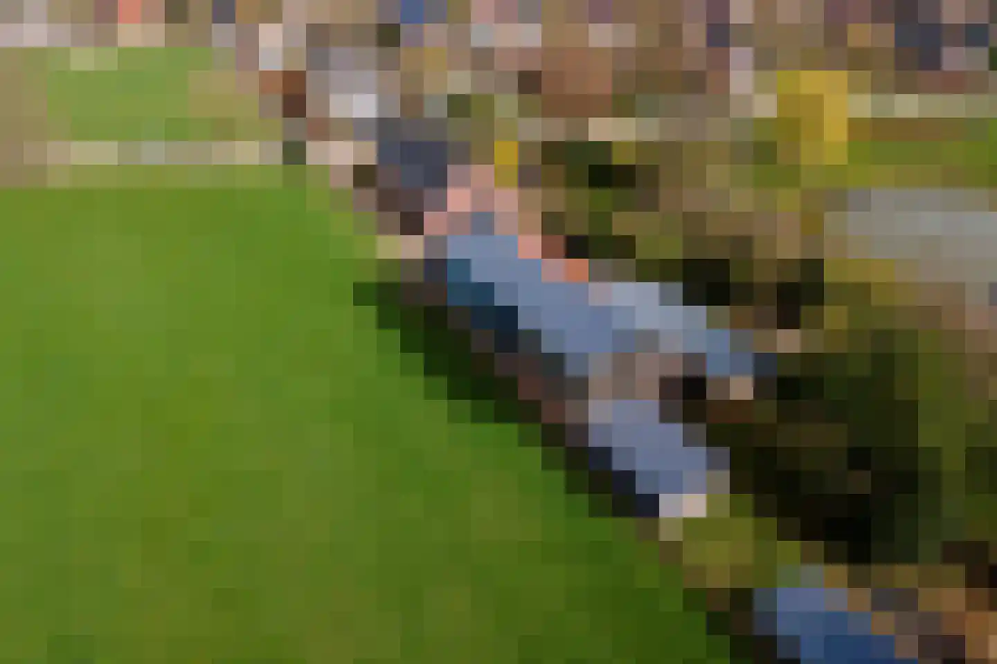 Smalriemseweg 33 Beusichem thumbnail 32