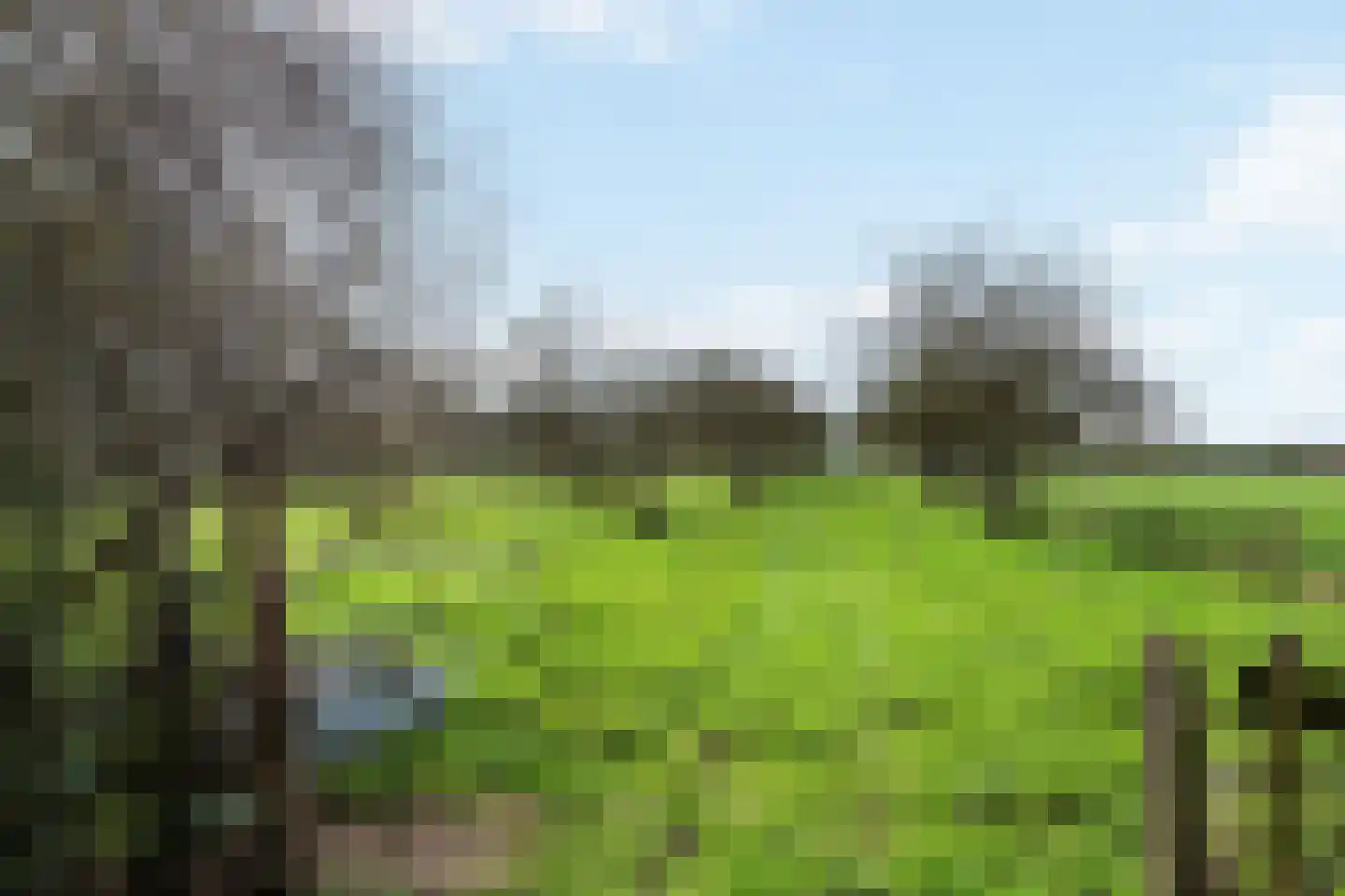 Smalriemseweg 33 Beusichem thumbnail 34