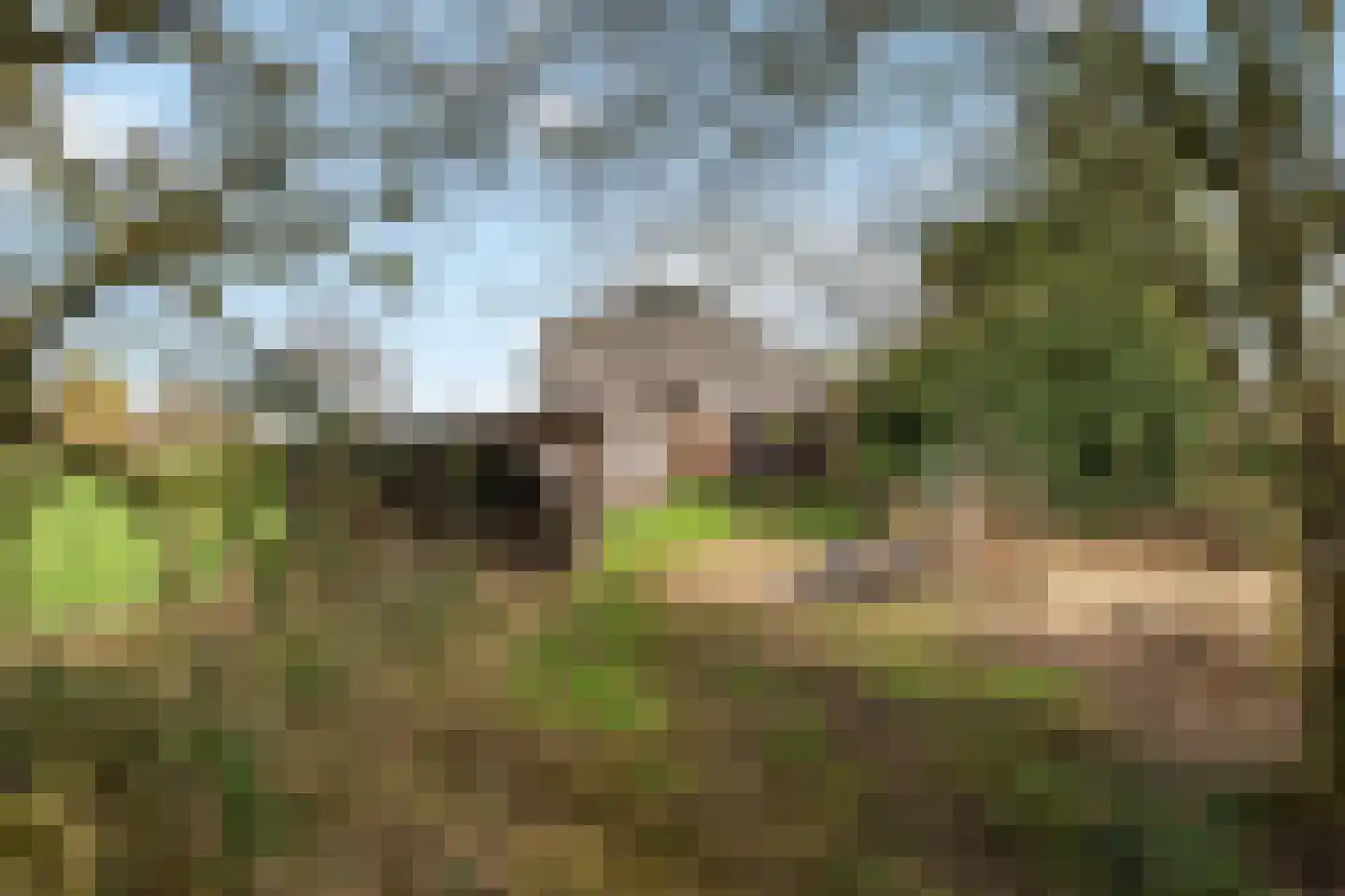 Smalriemseweg 33 Beusichem thumbnail 35