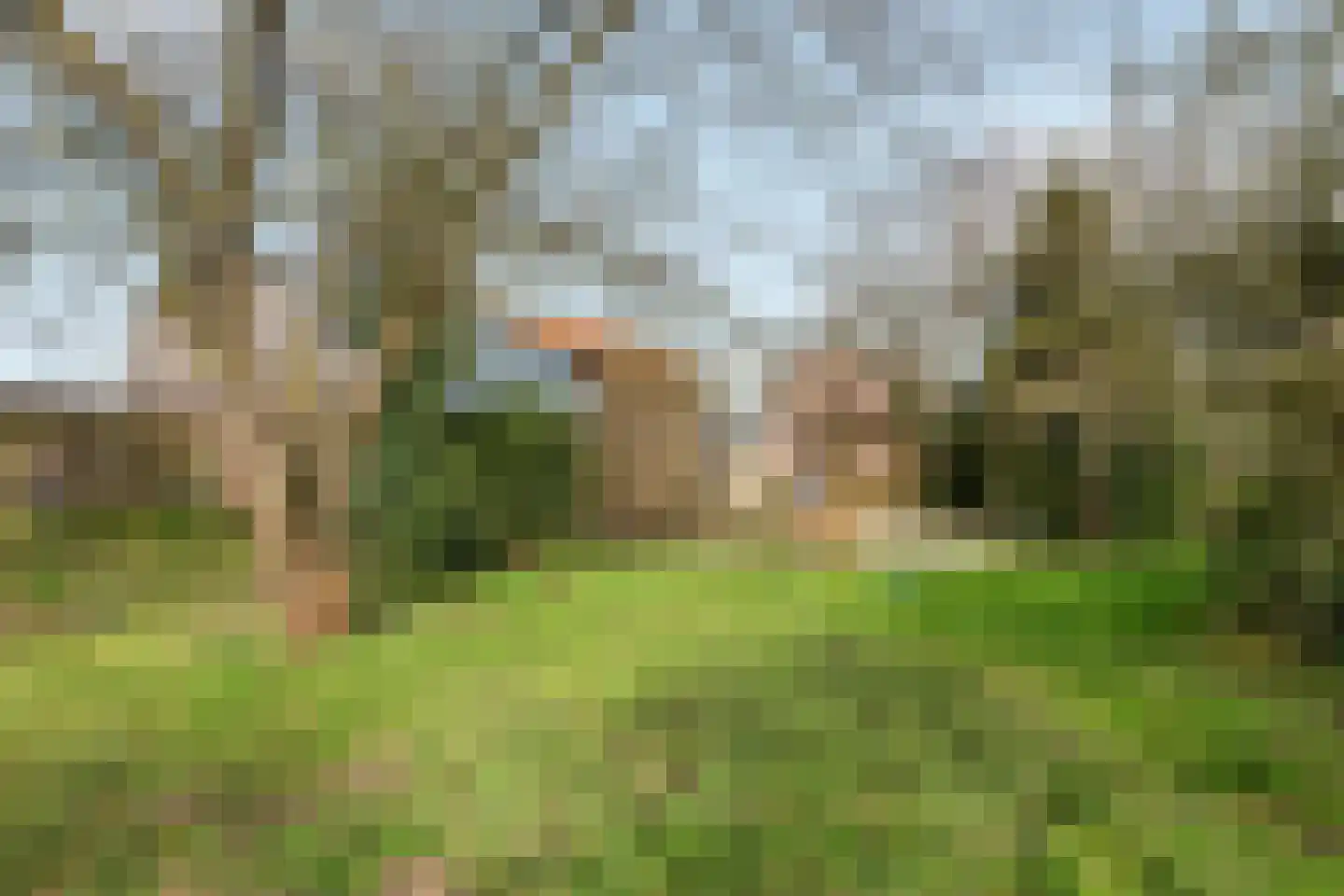 Smalriemseweg 33 Beusichem thumbnail 36