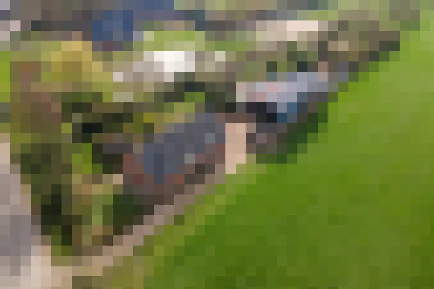 Smalriemseweg 33 Beusichem thumbnail 37