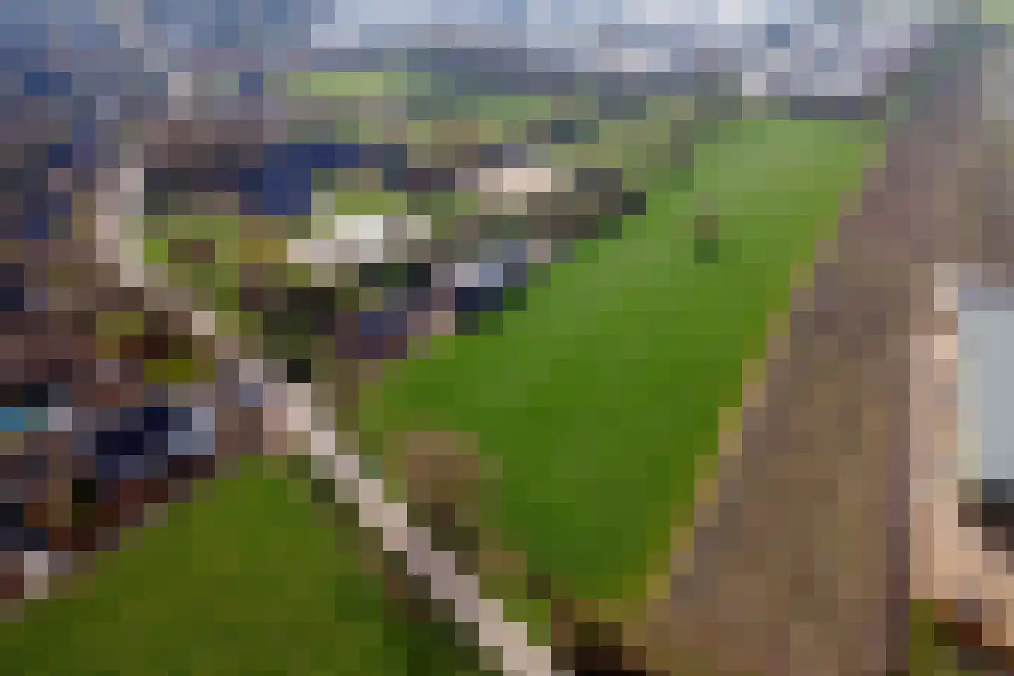 Smalriemseweg 33 Beusichem thumbnail 38