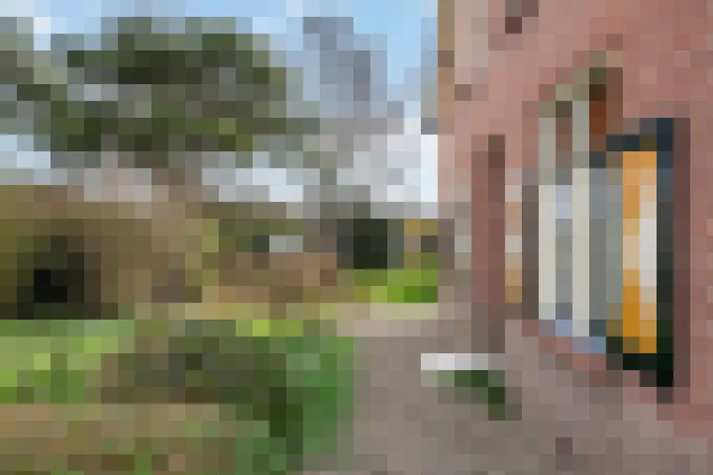 Smalriemseweg 33 Beusichem thumbnail 4