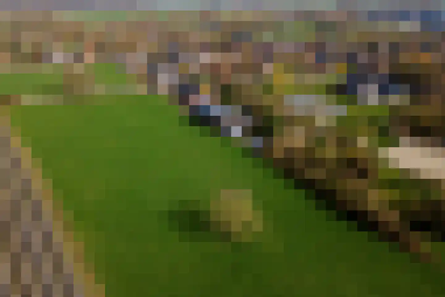 Smalriemseweg 33 Beusichem thumbnail 40