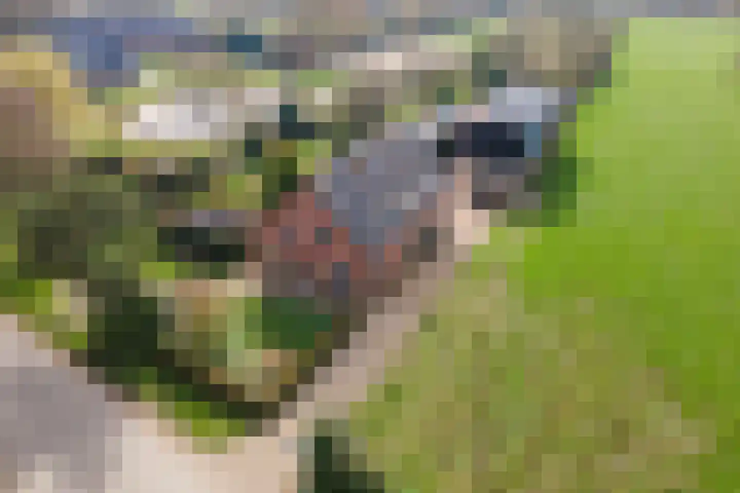 Smalriemseweg 33 Beusichem thumbnail 41