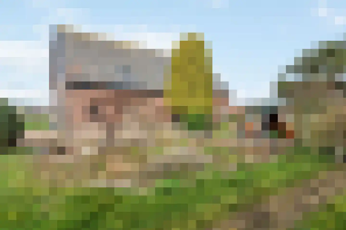 Smalriemseweg 33 Beusichem thumbnail 8