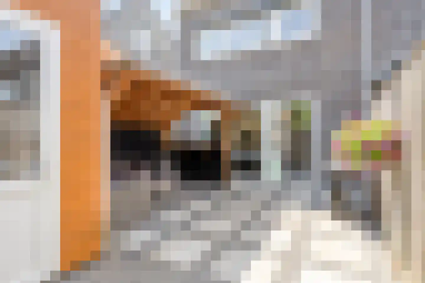 Smalschip 23 Sint-Annaland thumbnail 46